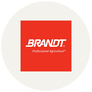 Brandt