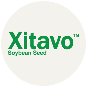Xitavo