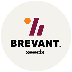 Brevant