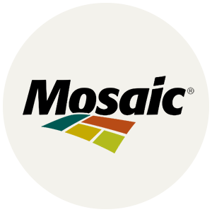Mosaic