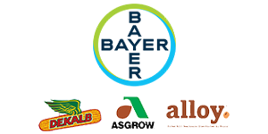 Bayer